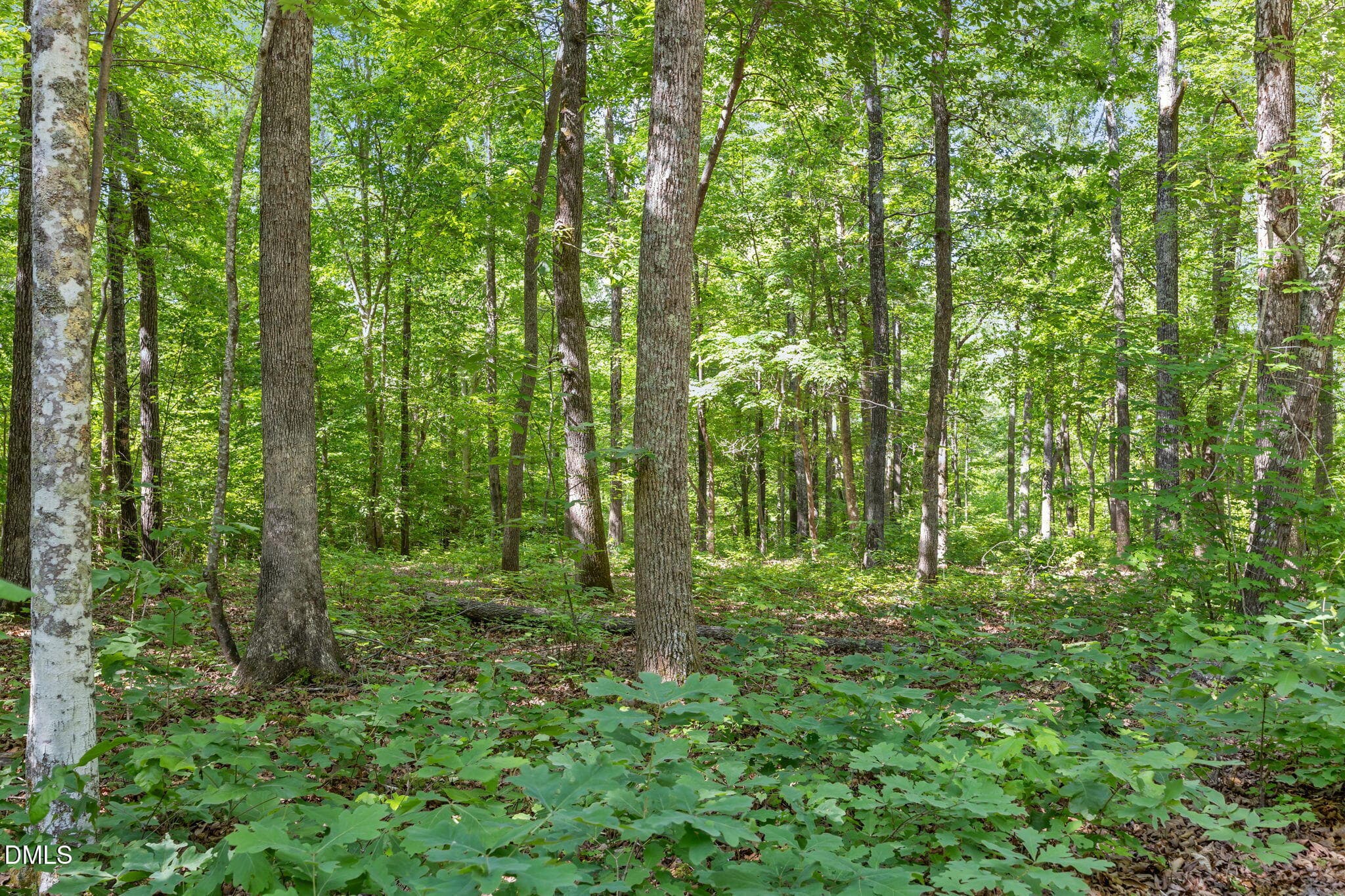 14-web-or-mls-IMG_3699 - 3820 Riversound Lane, Hurdle Mills, NC 27541