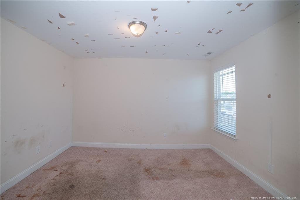 Photo 19 - 4410 NARROW PINE Court, Parkton, NC 28371, Parkton
