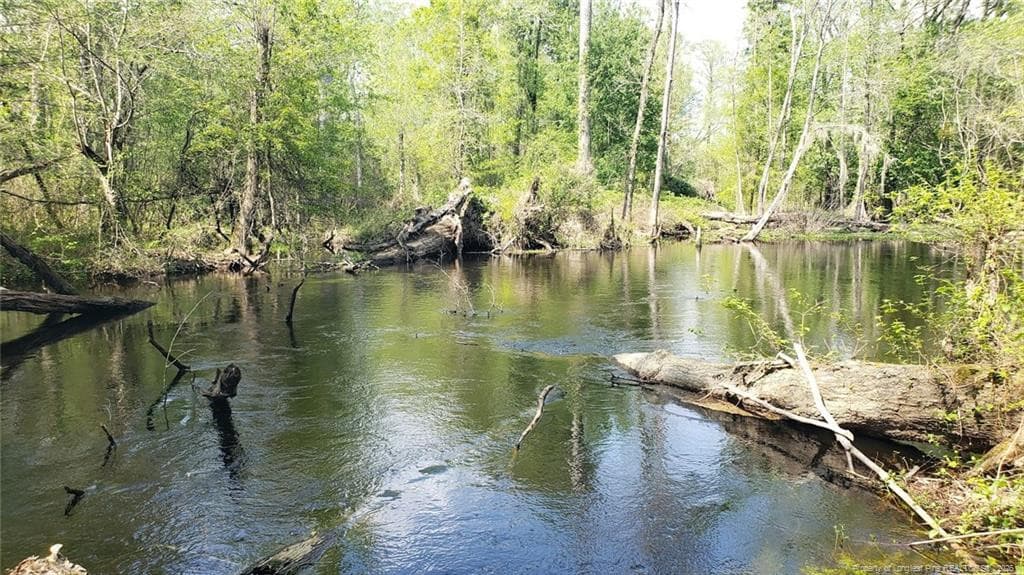 Photo 6 - 52 Acres River Access, Lumberton, NC 28360