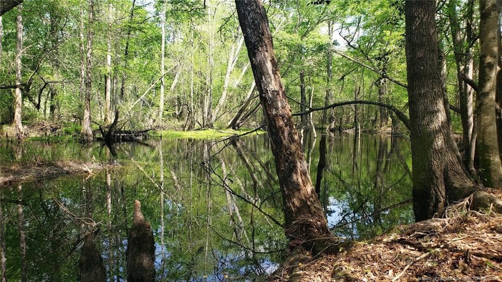 Photo 7 - 52 Acres River Access, Lumberton, NC 28360