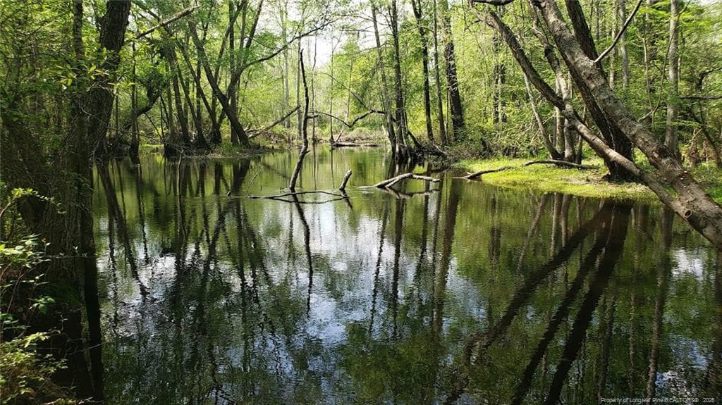 Photo 9 - 52 Acres River Access, Lumberton, NC 28360