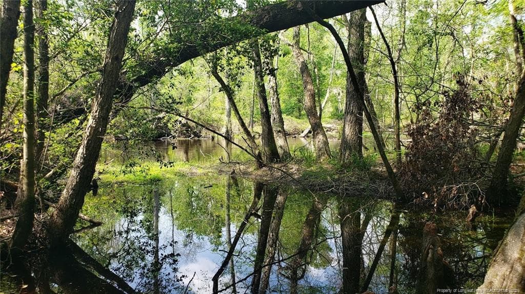 Photo 10 - 52 Acres River Access, Lumberton, NC 28360