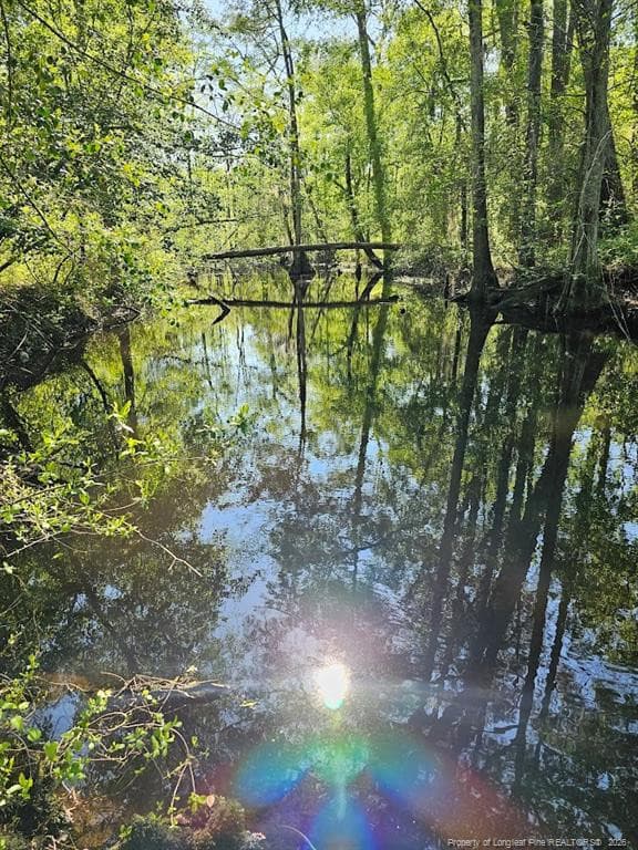 Photo 11 - 52 Acres River Access, Lumberton, NC 28360