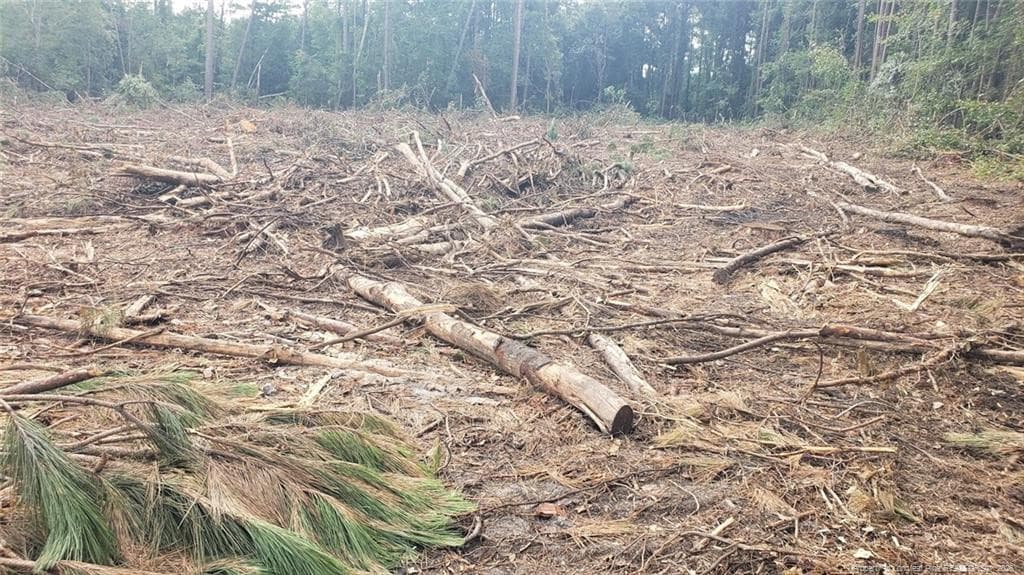 Photo 12 - 52 Acres River Access, Lumberton, NC 28360