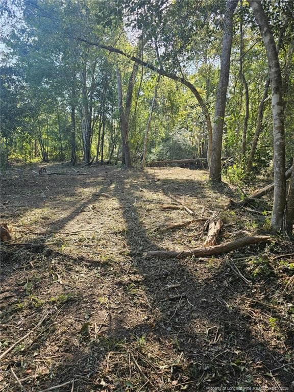 Photo 17 - 52 Acres River Access, Lumberton, NC 28360