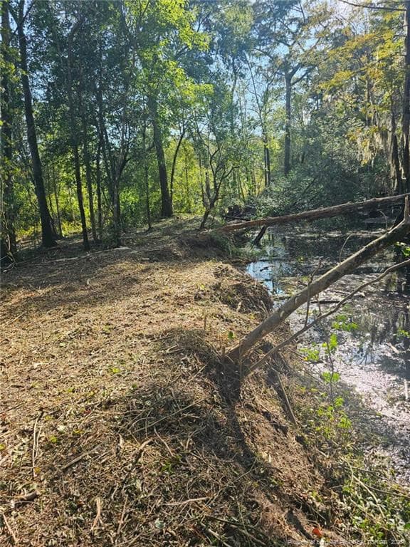 Photo 18 - 52 Acres River Access, Lumberton, NC 28360
