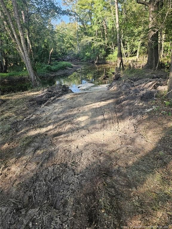Photo 19 - 52 Acres River Access, Lumberton, NC 28360