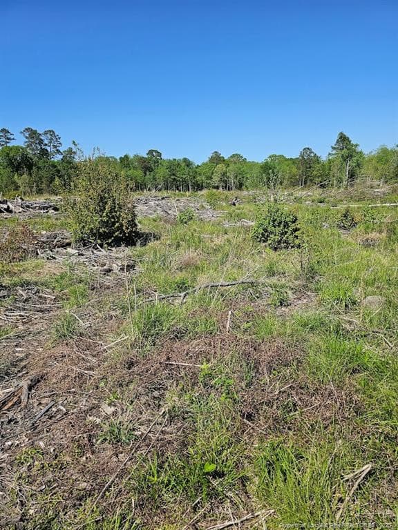 Photo 14 - 52 Acres River Access, Lumberton, NC 28360