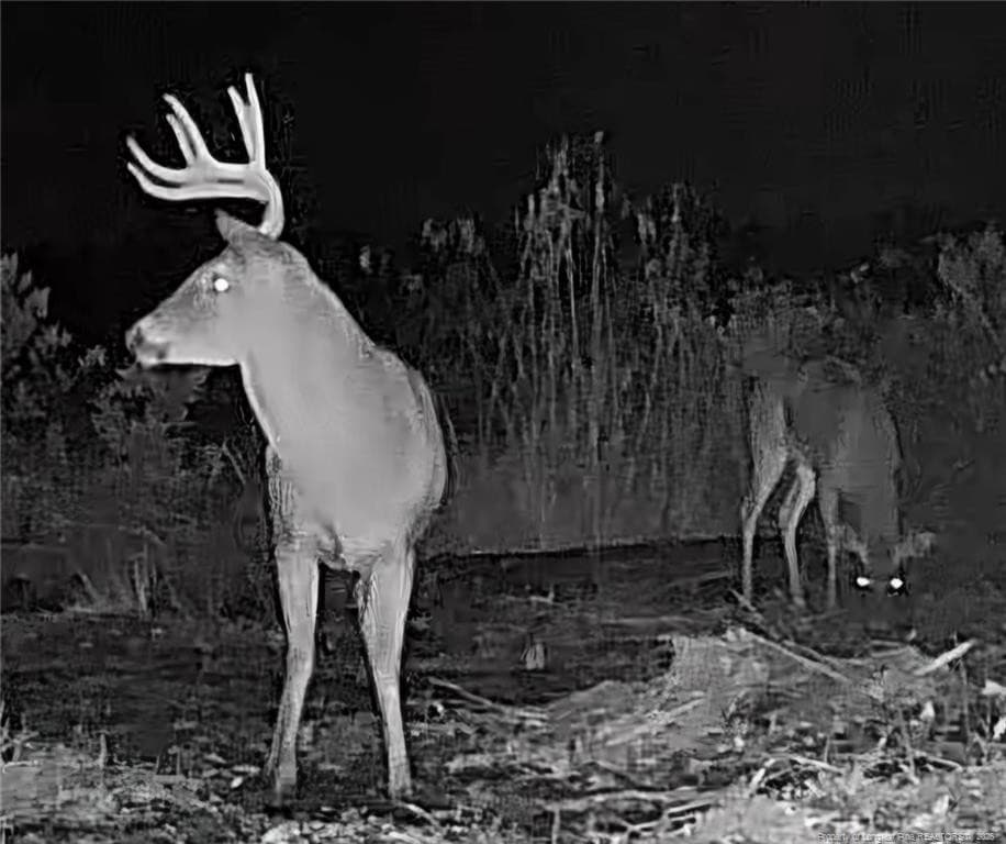 Photo 20 - 52 Acres River Access, Lumberton, NC 28360
