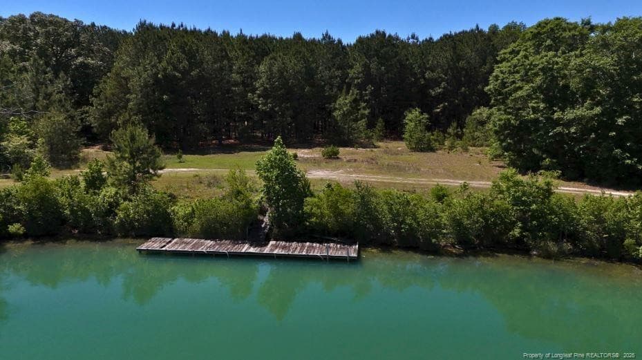 Photo 4 - Lee Johnson Road, Dunn, NC 28334