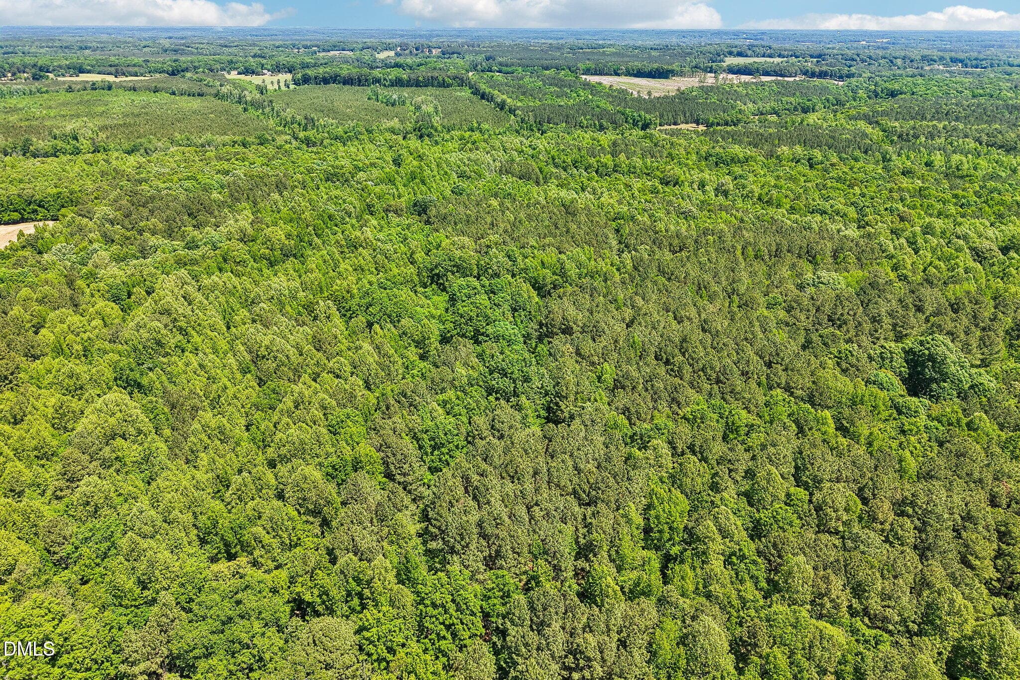 7-web-or-mls-N Old Franklin Rd-S0605-007 - 2957 N Old Franklin Road, Spring Hope, NC 27882