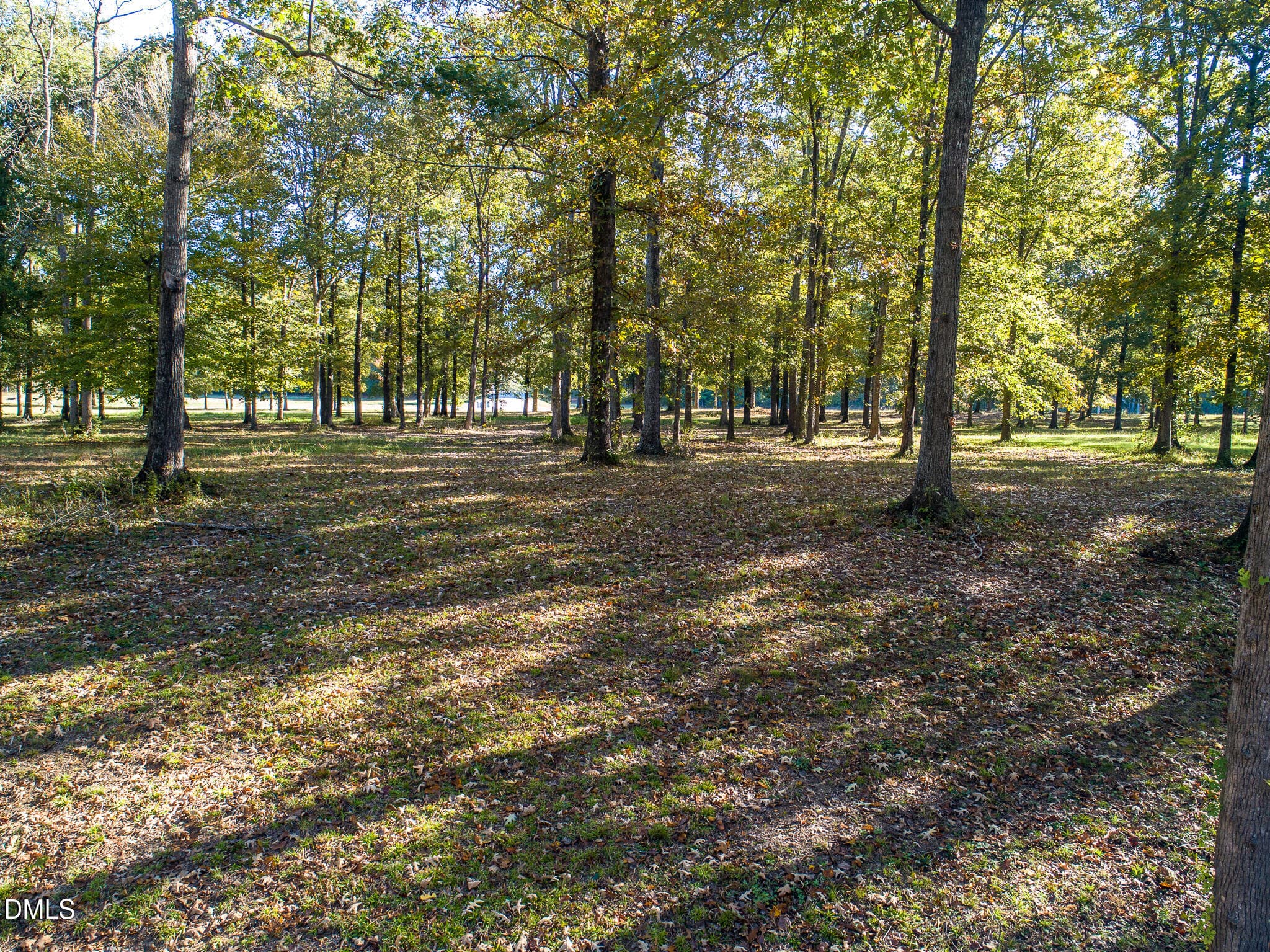Copy of OldeFerry-1 - 0 River Bluff Drive S, Dunn, NC 28334