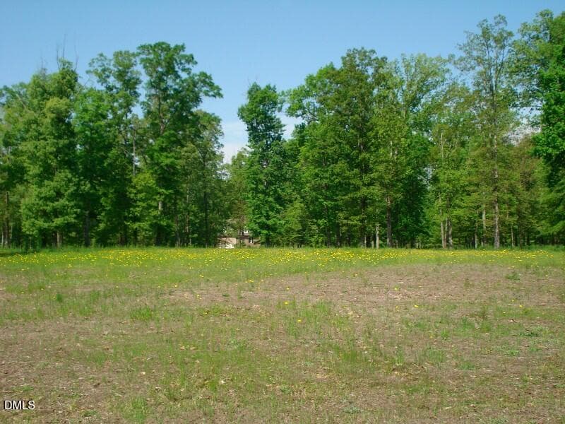 OLDE FERRY SPRINGTIME LOTS 1-20 (52) - 0 River Bluff Drive S, Dunn, NC 28334