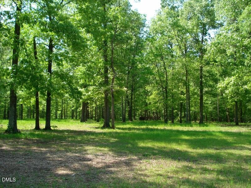 OLDE FERRY SPRINGTIME LOTS 1-20 (58) - 0 River Bluff Drive S, Dunn, NC 28334