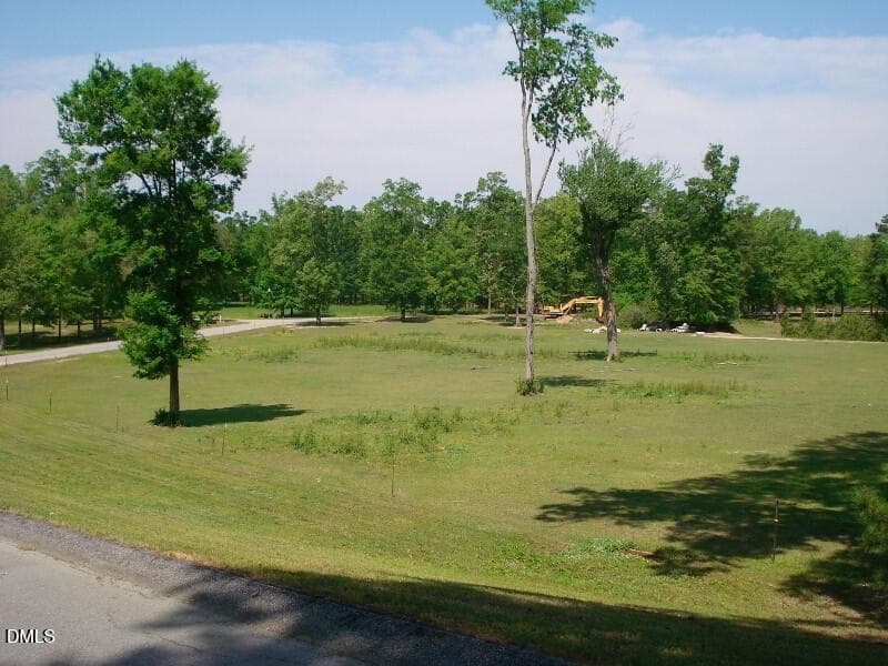 OLDE FERRY SPRINGTIME LOTS 1-20 (62) - 0 River Bluff Drive S, Dunn, NC 28334