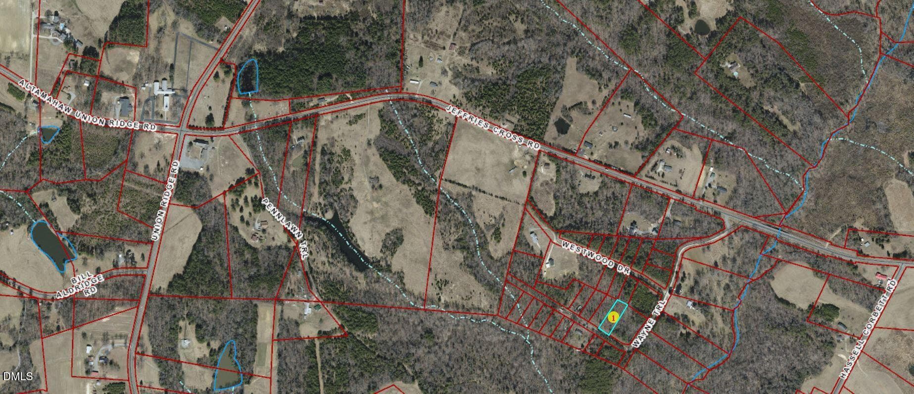 GIS Zoom Out - 360 Wayne Trail, Burlington, NC 27217