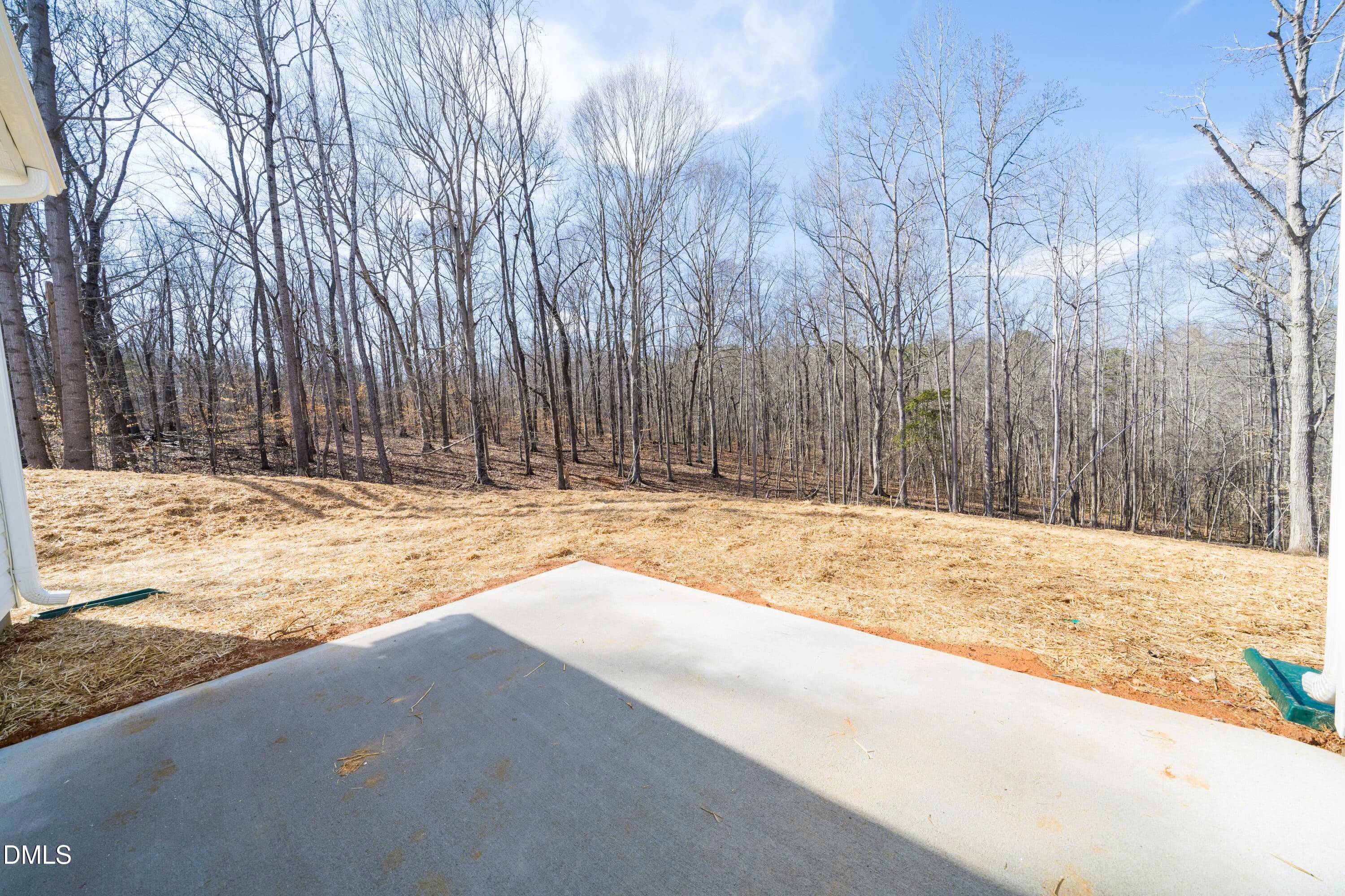 Back patio - 918 N Bickett Boulevard, Louisburg, NC 27549, Louisburg