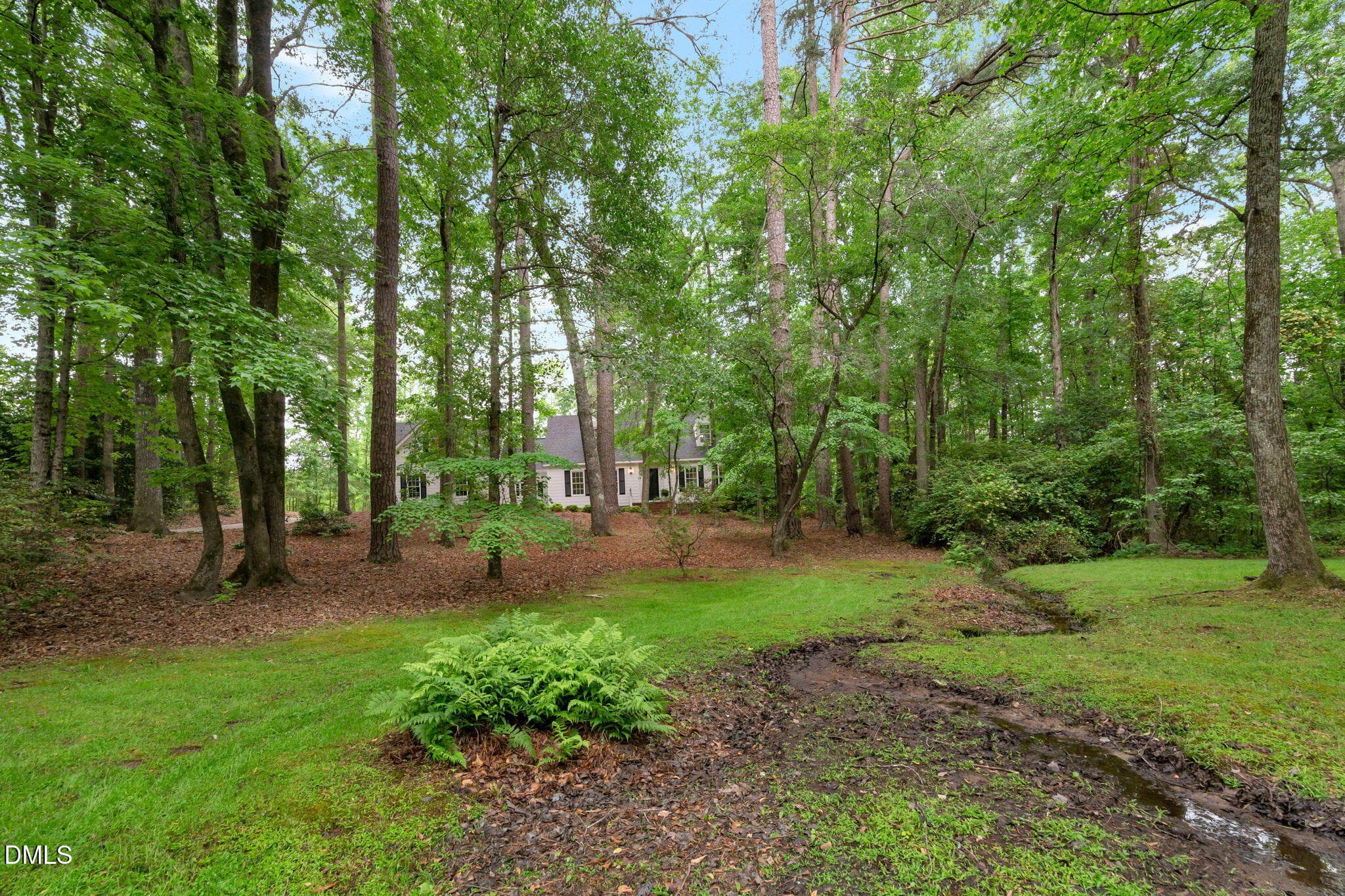 4-web-or-mls-QP-07575 - 4008 Blackard Pond Road, Raleigh, NC 27604, Raleigh
