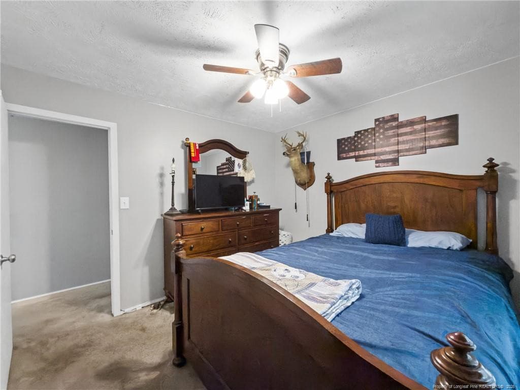 Photo 34 - 29844 N Turnpike Road, Wagram, NC 28396