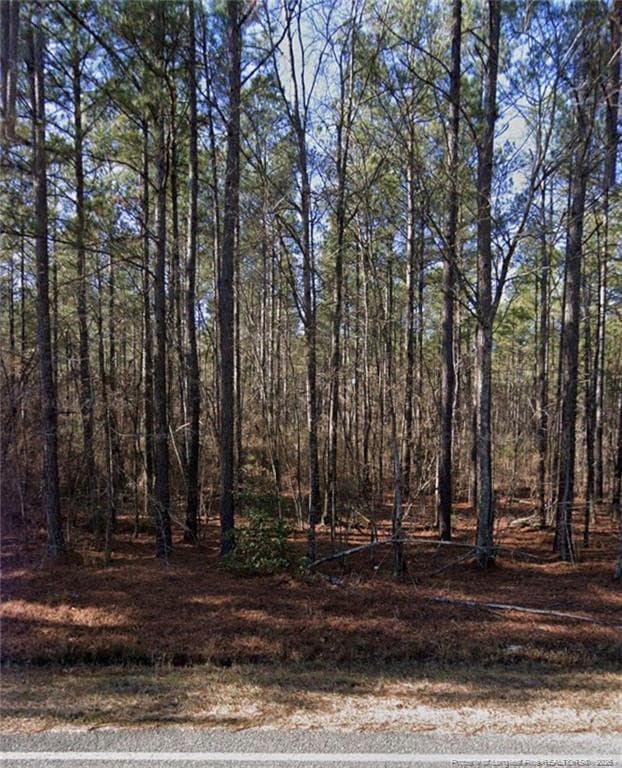 Street View - McBryde Street, Linden, NC 28356