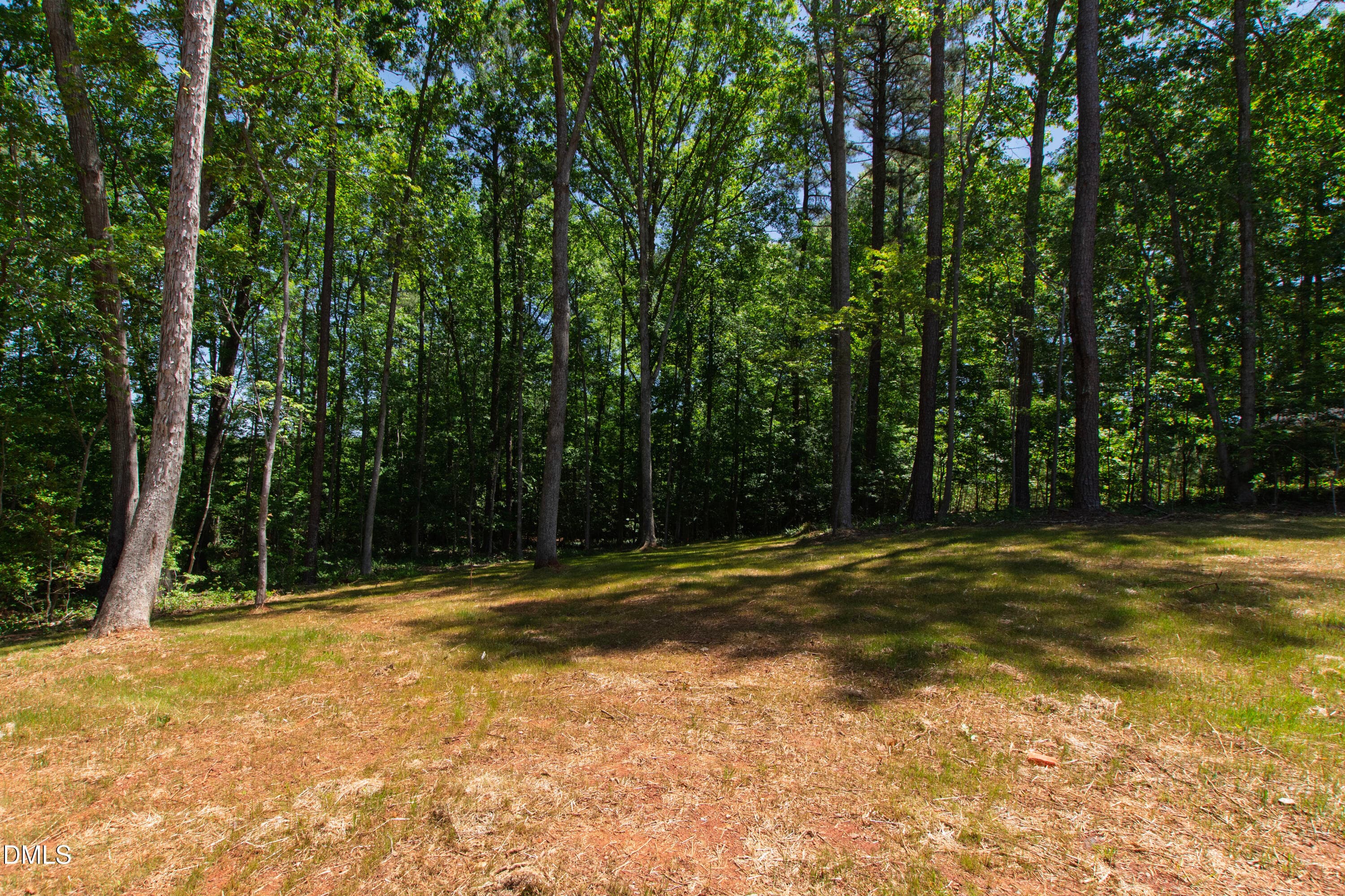 Rawhide (8) - 212 Rawhide Drive, Louisburg, NC 27549, Louisburg