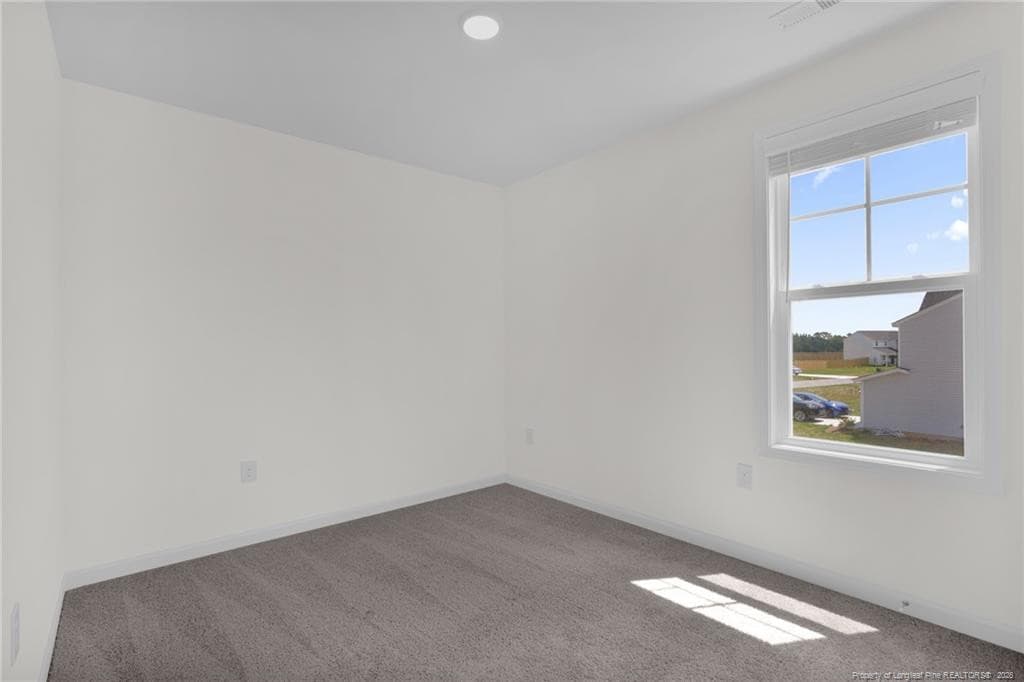 Photo 31 - 245 Buggy Top Lane, Autryville, NC 28318