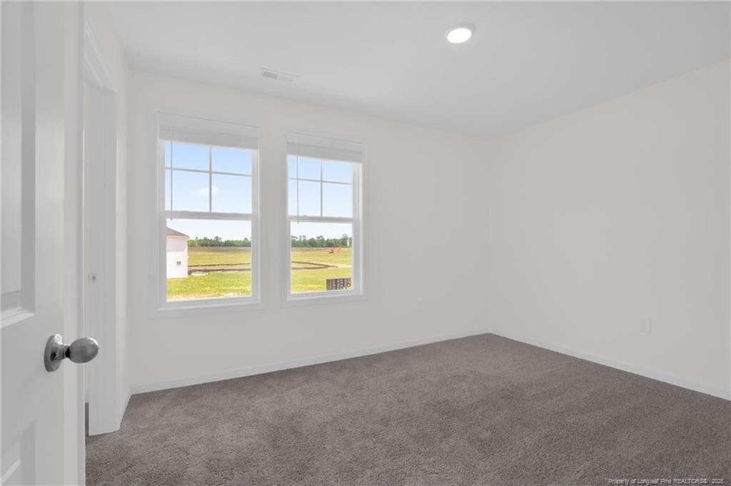 Photo 33 - 245 Buggy Top Lane, Autryville, NC 28318