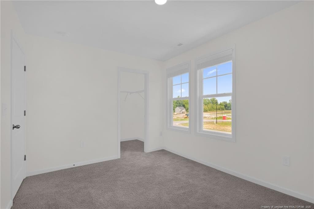 Photo 34 - 245 Buggy Top Lane, Autryville, NC 28318