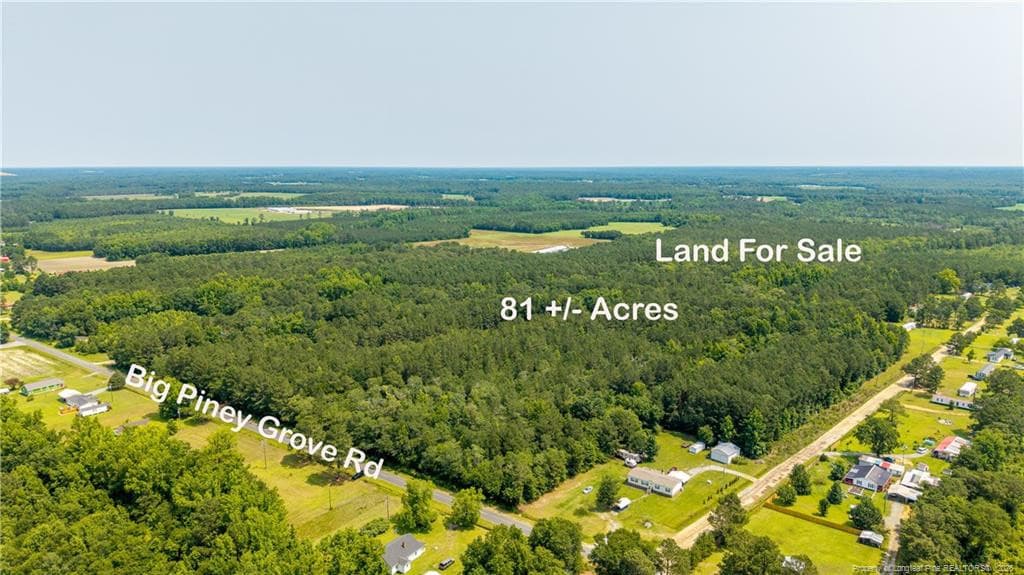 Photo 2 - Big Piney Grove Road, Clinton, NC 28328
