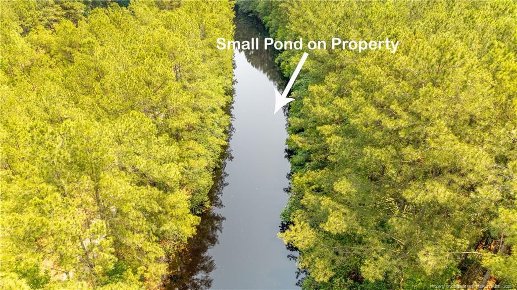 Photo 4 - Big Piney Grove Road, Clinton, NC 28328