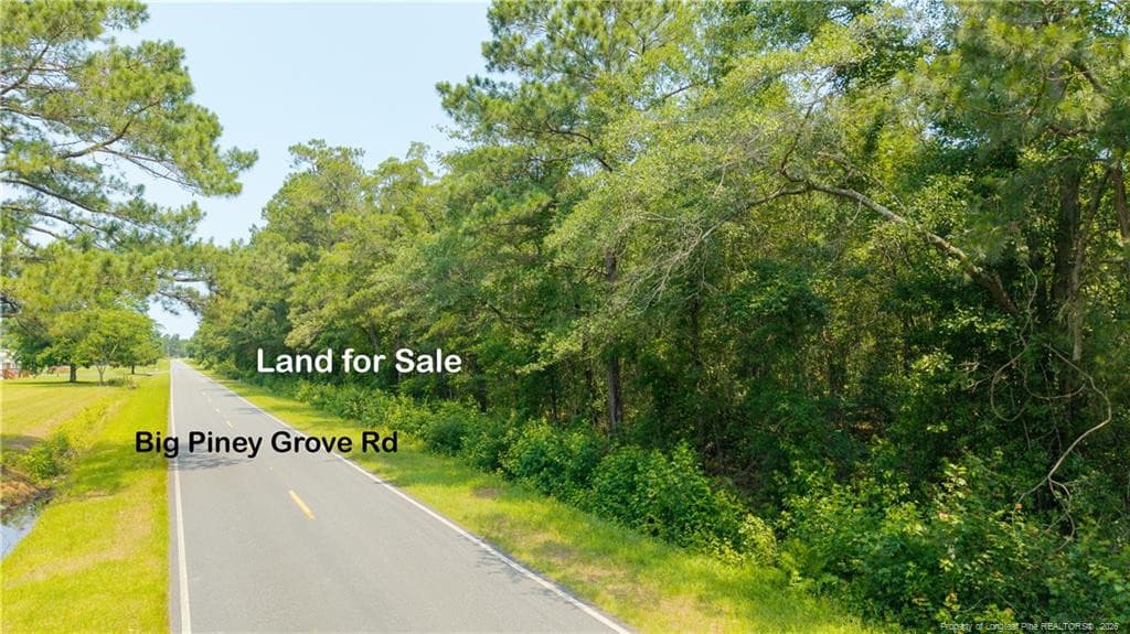 Photo 5 - Big Piney Grove Road, Clinton, NC 28328