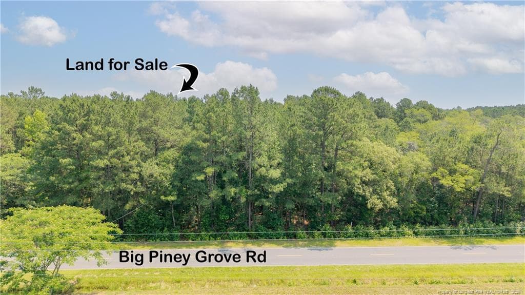 Photo 6 - Big Piney Grove Road, Clinton, NC 28328
