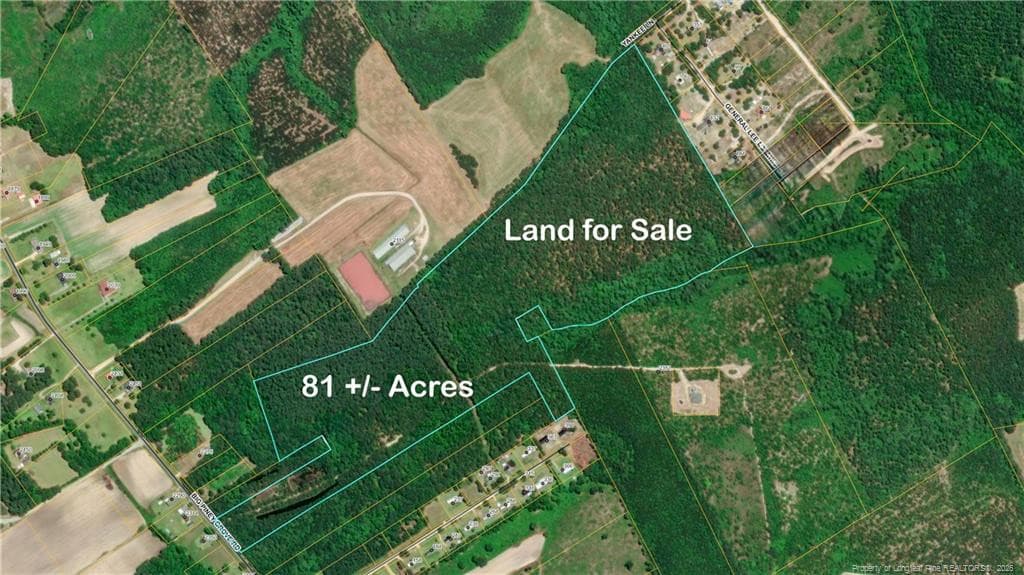 Photo 7 - Big Piney Grove Road, Clinton, NC 28328