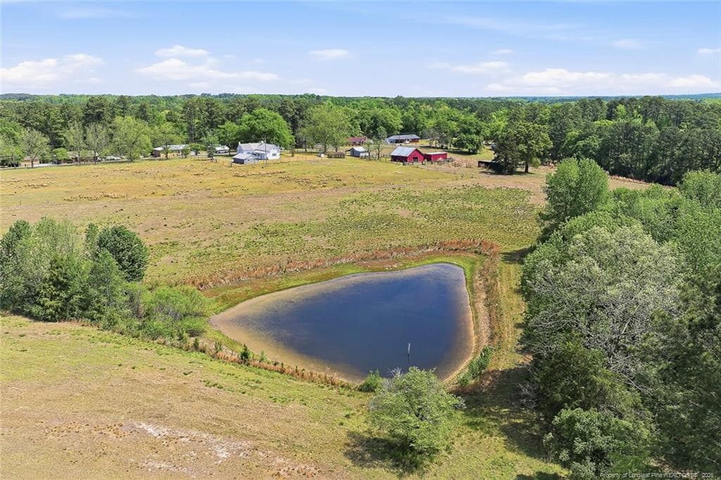 Photo 40 - 249 Nicholson Road, Rockingham, NC 28379