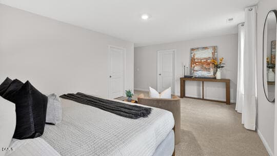 PRIMARY SUITE BEDROOM - 63 Cheyenne Drive, Clayton, NC 27520