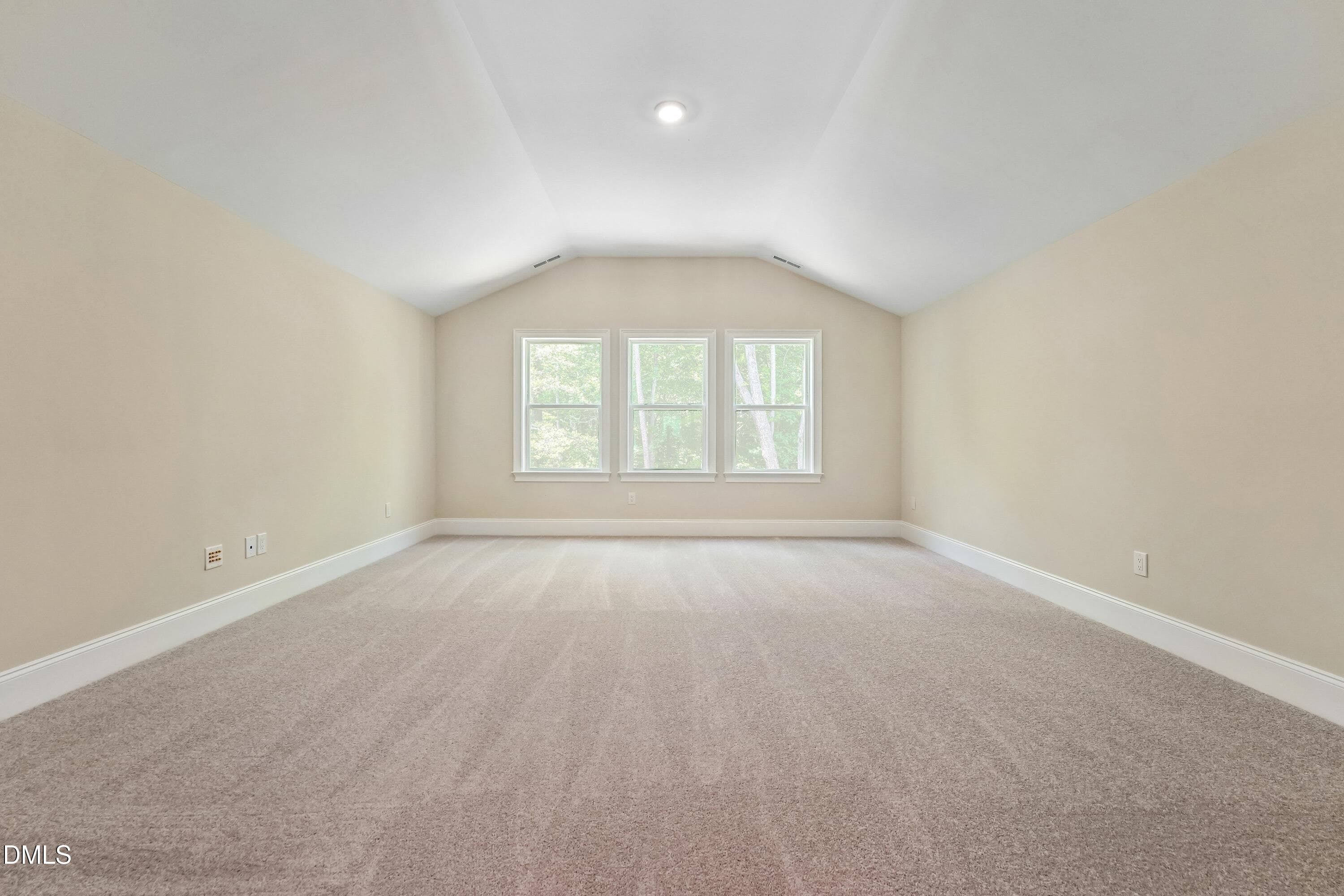 Bonus Room - 290 Twisted Oak Way, Chapel Hill, NC 27517, Chapel Hill