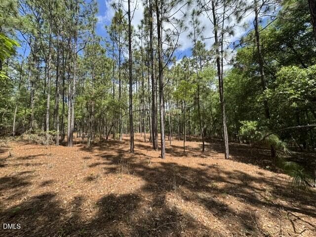 Lot 2 -- P2 - Lot 2 Utley Street, Aberdeen, NC 28315