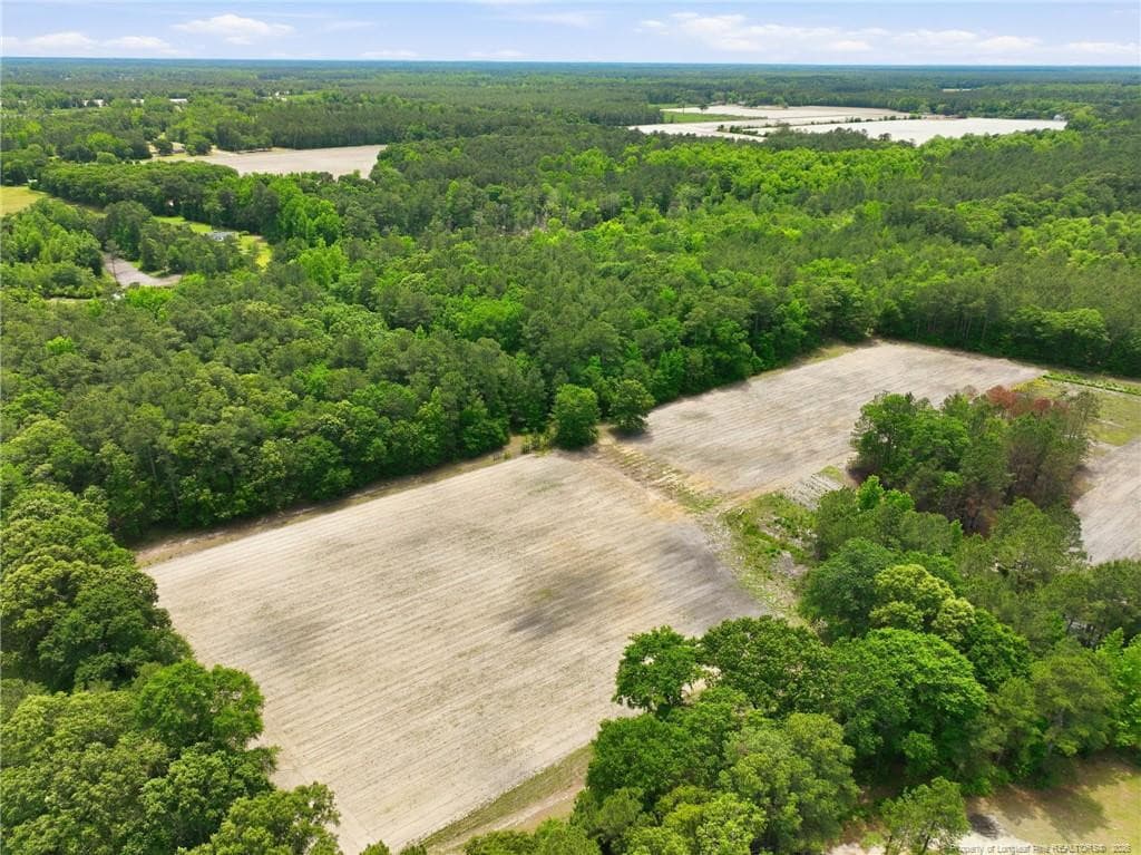 Photo 11 - 10400 Ruth Vinson Road, Autryville, NC 28318