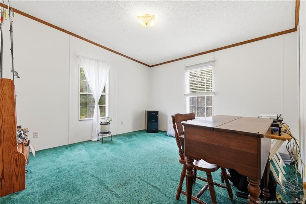 Photo 34 - 10400 Ruth Vinson Road, Autryville, NC 28318