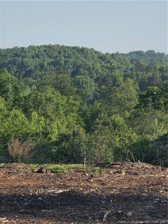 Photo 6 - 000 Skeen View Road, Asheboro, NC 27205