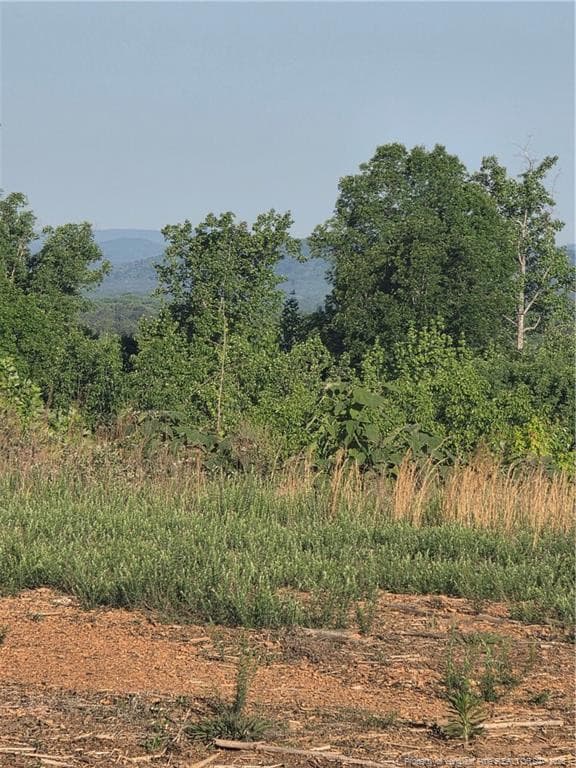 Photo 8 - 000 Skeen View Road, Asheboro, NC 27205