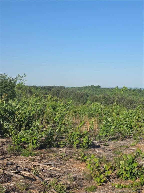 Photo 9 - 000 Skeen View Road, Asheboro, NC 27205