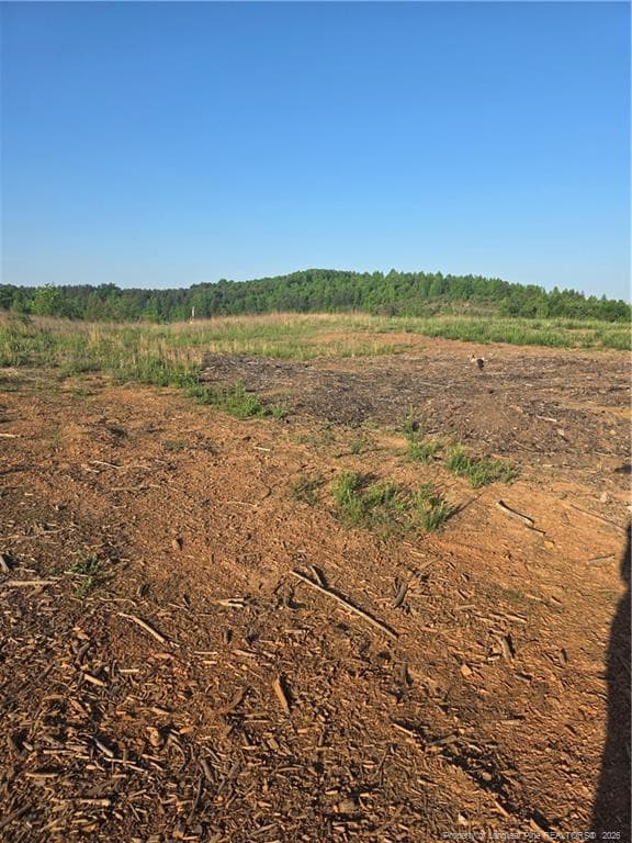 Photo 11 - 000 Skeen View Road, Asheboro, NC 27205