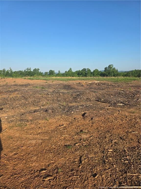 Photo 12 - 000 Skeen View Road, Asheboro, NC 27205