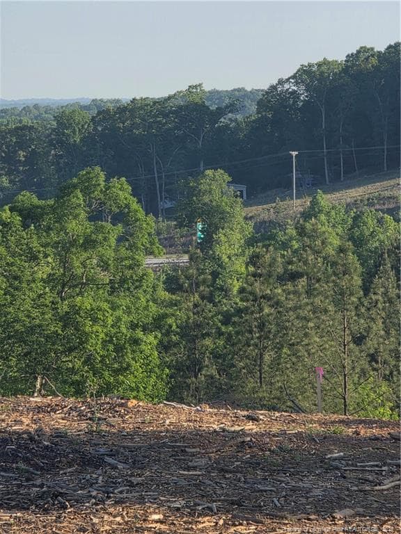 Photo 19 - 000 Skeen View Road, Asheboro, NC 27205