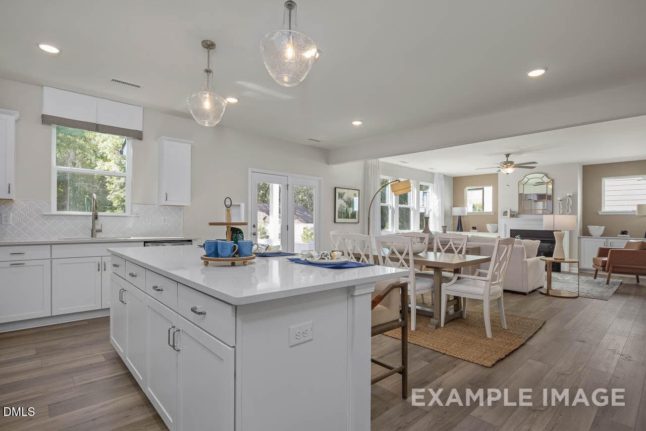 snm-model-mls-14 - 205 Tenure Lane, Lillington, NC 27546