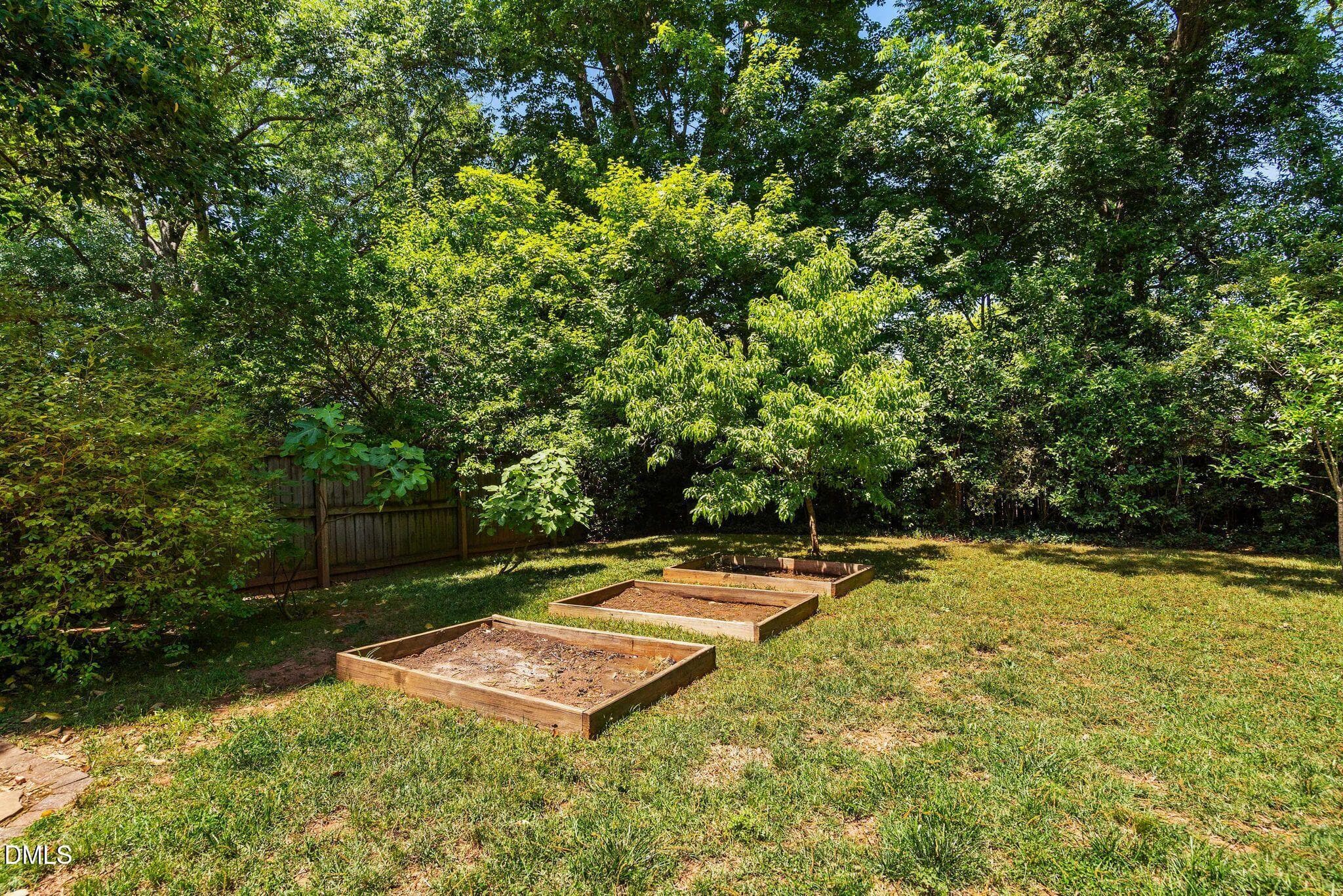 Back Yard - 113 E Whitaker Mill Road, Raleigh, NC 27608, Raleigh