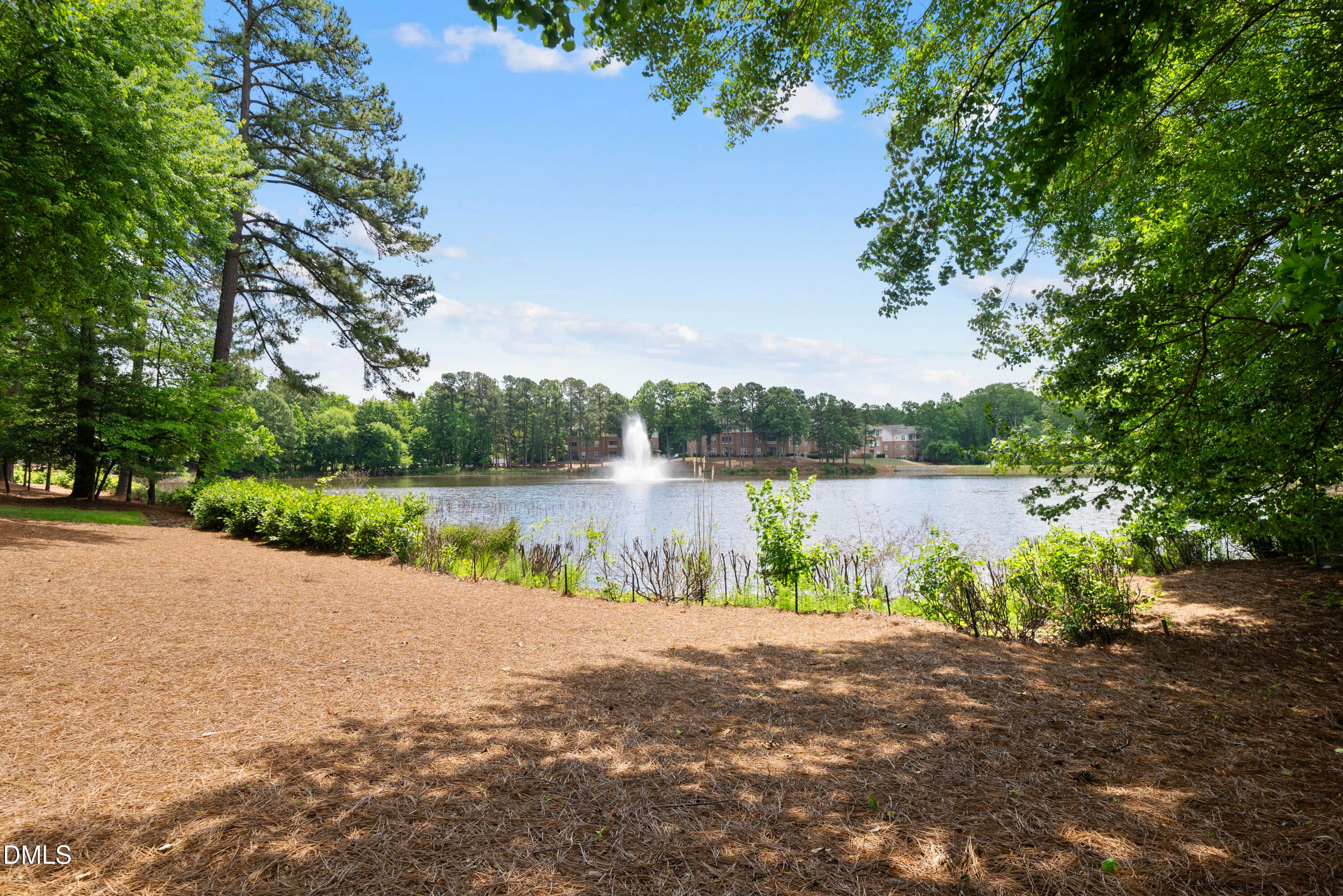 DSC07261 - 8110 Lloyd Allyns Way, Raleigh, NC 27615, Raleigh