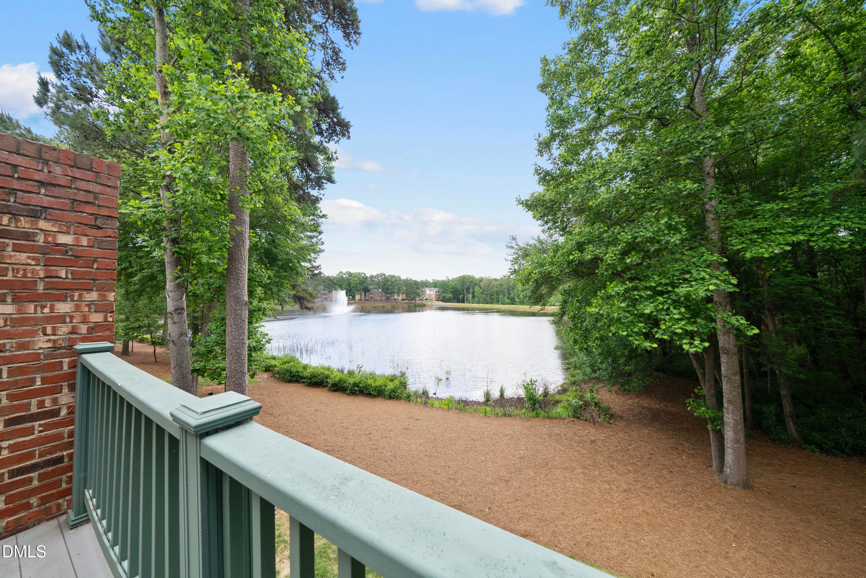 DSC07396 - 8110 Lloyd Allyns Way, Raleigh, NC 27615, Raleigh