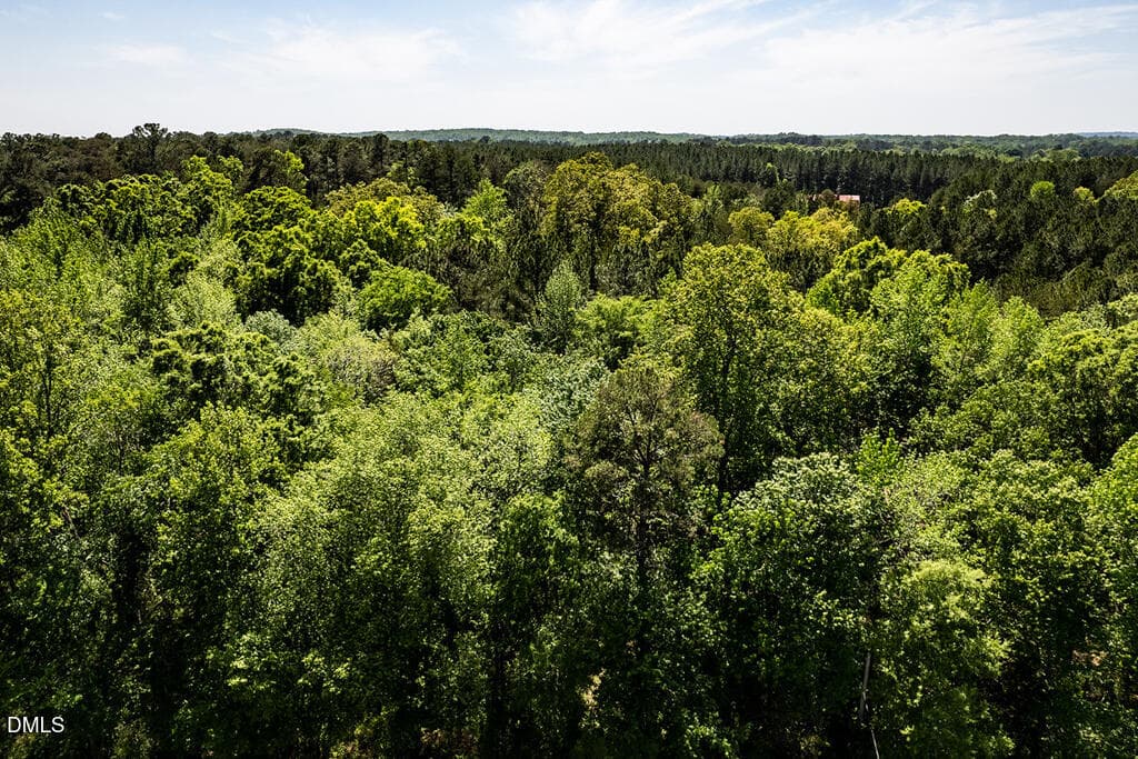 NC 87 (parcel 104826)-1 - 0 S South Nc 87 Hwy, Graham, NC 27253